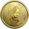 1/10 oz. Canadian Polar Bear Gold Coin