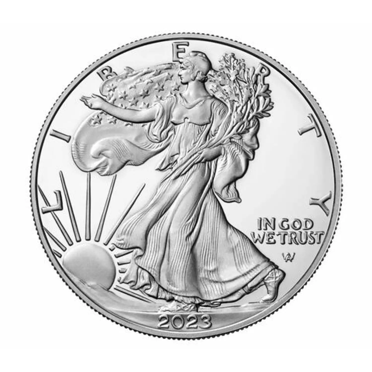 1 oz. Proof American Eagle Silver Coin